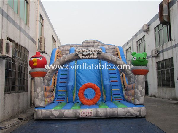 inflatable slide (8)