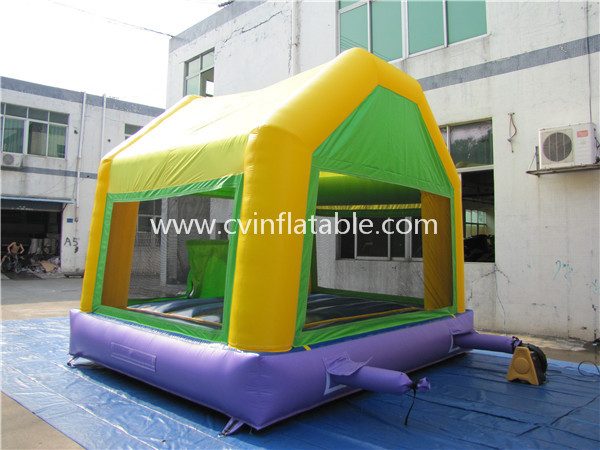 inflatable bouncer (3)