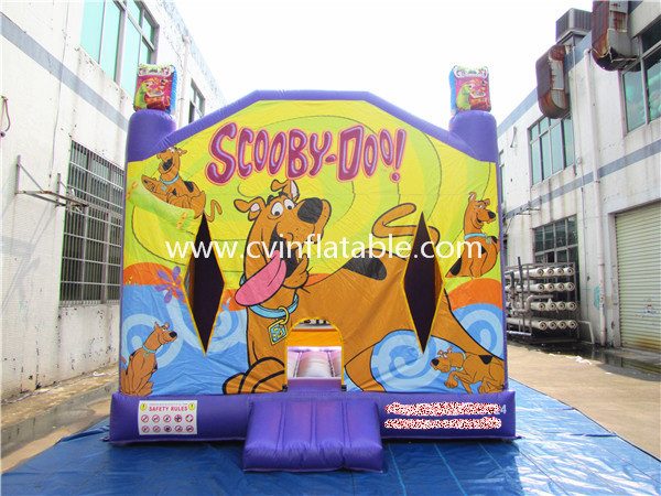 inflatable bouncer (31)