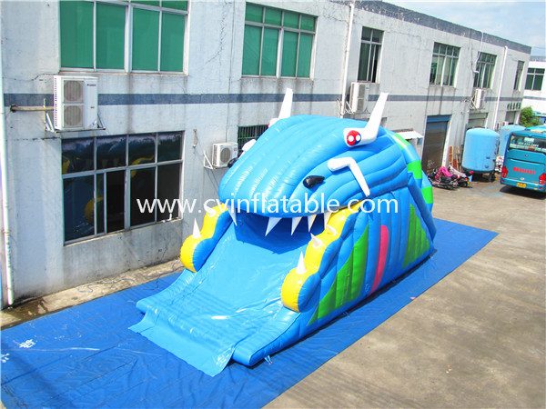 inflatable slide (12)