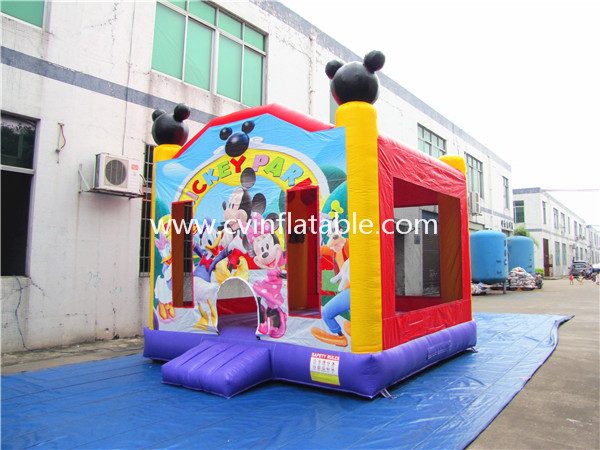 inflatable bouncer (25)