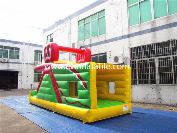 inflatable bouncer slide (2)