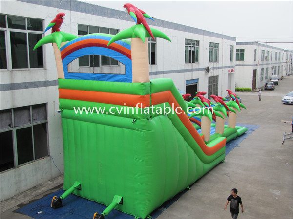 inflatable water slide (2)