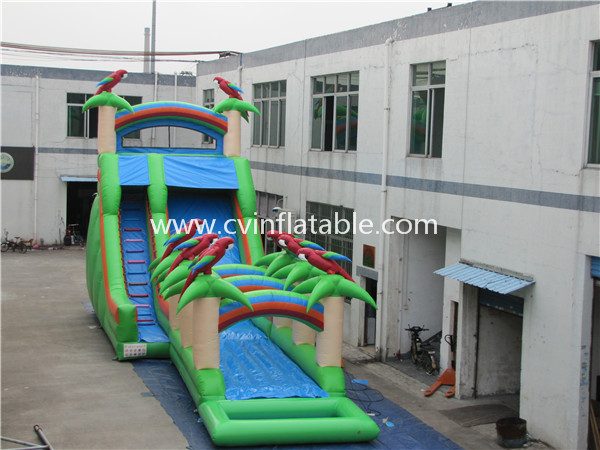 inflatable water slide (3)