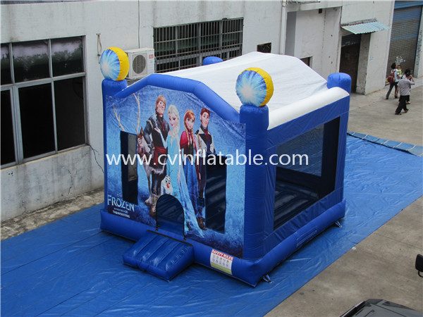 inflatable bounce house (2)