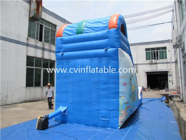 inflatable dolphin slide (3)