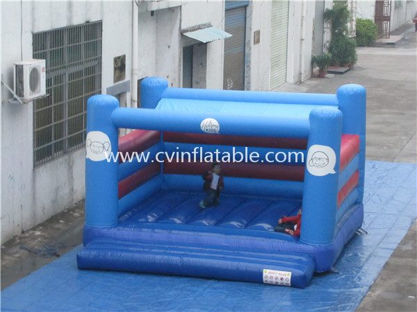 backyard inflatable bouncer (2)