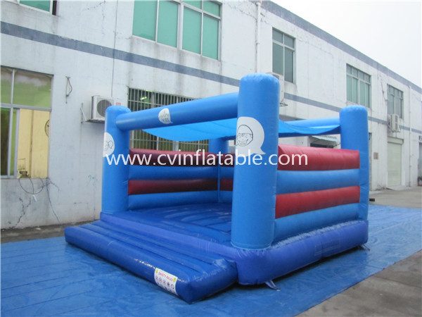backyard inflatable bouncer