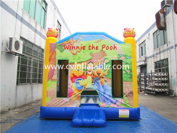 inflatable bouncer (12)