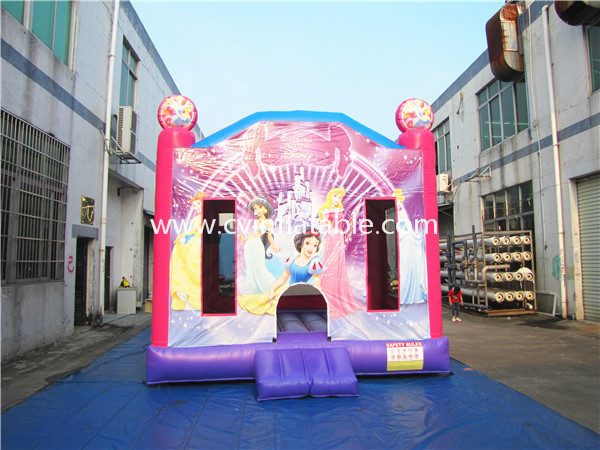 inflatable bouncer (18)