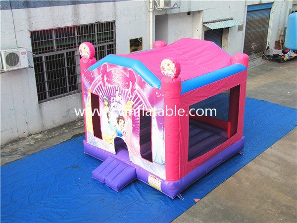 inflatable bouncer (19)