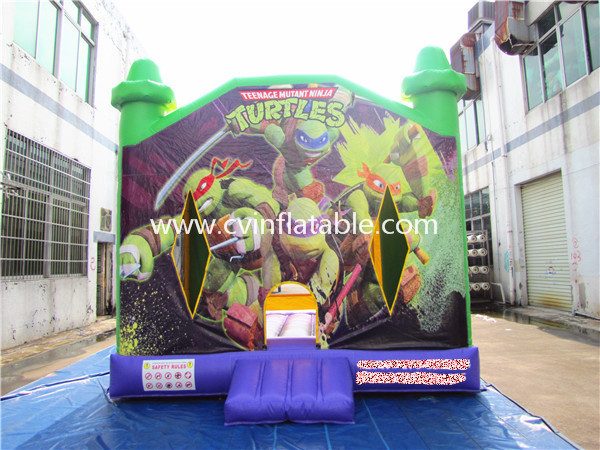 inflatable bouncer (28)