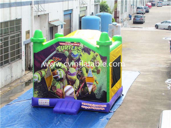 inflatable bouncer (29)