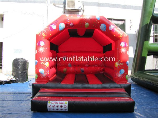 inflatable bouncer (5)