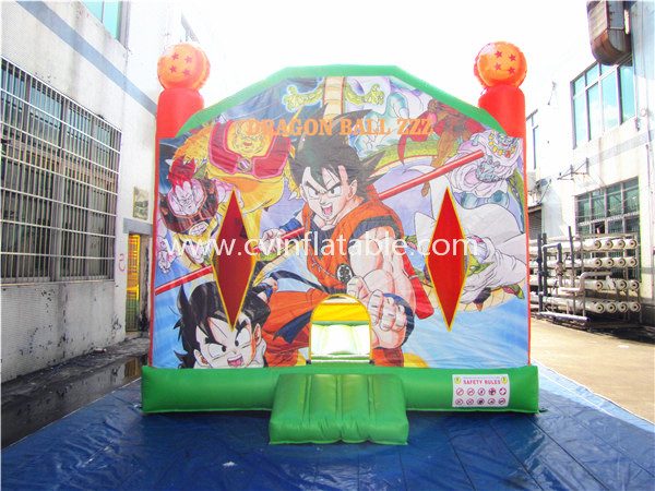 inflatable bouncer (7)