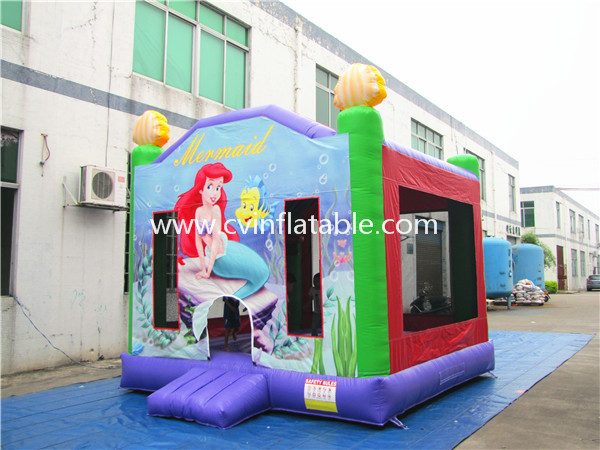 inflatable bouncer (8)