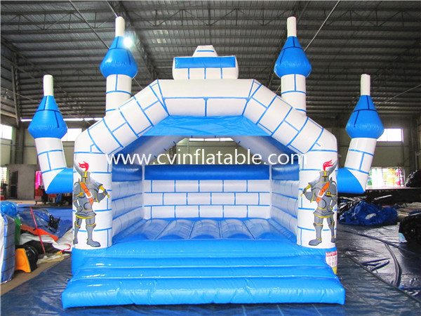 inflatable castle (3)