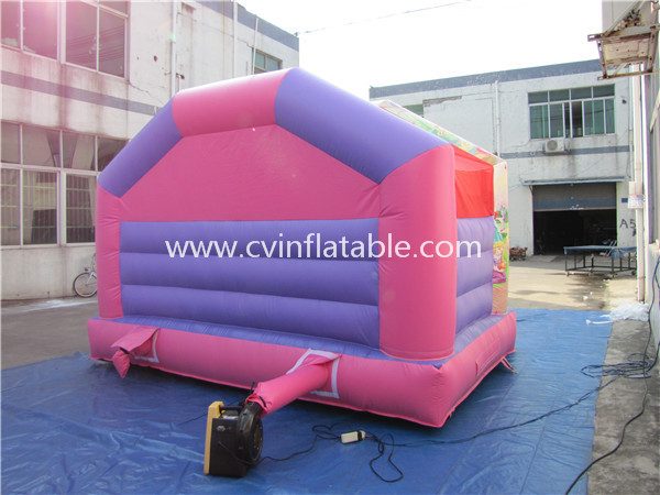 small inflatable bouncer (7)